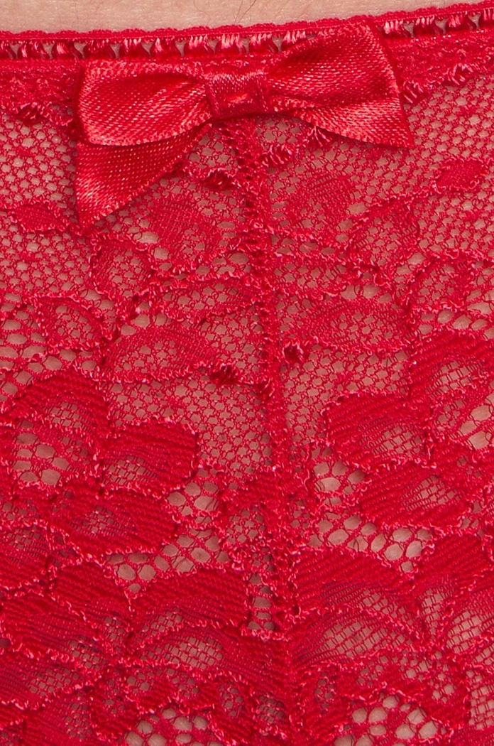 Odjeća Gaćice Etam Panama - Shorty 648550673 crvena