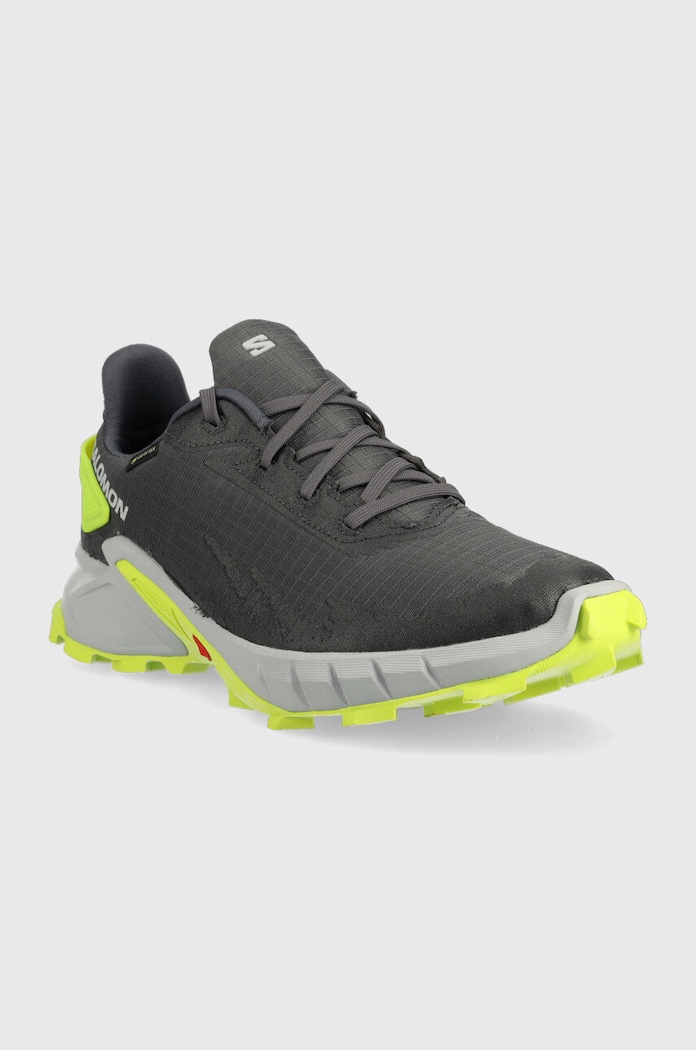 Salomon buty Alphacross 4 GTX L47066700 szary AW22