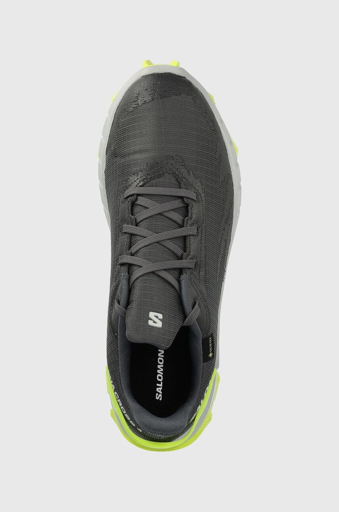 Salomon buty Alphacross 4 GTX szary L47066700