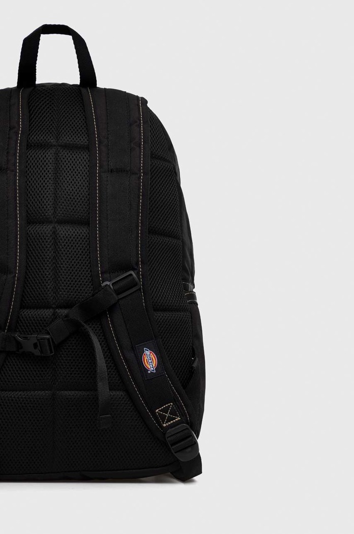 Dodaci Ruksak Dickies DK0A4Y33BLK1 crna