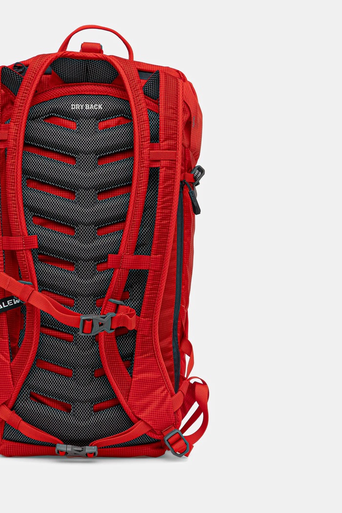 Accesorii Salewa rucsac 00.0000001256 rosu