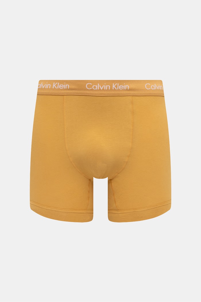 Calvin Klein Underwear boksarice moške bombažne z elastanom paket 5 kosov 000NB2877A pisana AA00