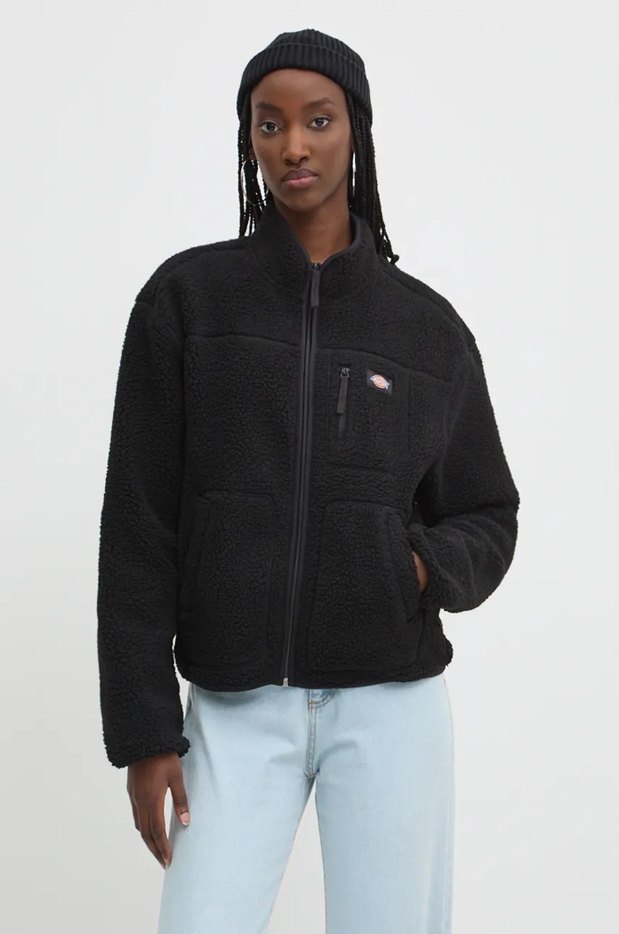 Dickies Bluza negru DK0A4YGNF901