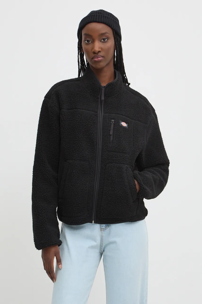 Dickies Bluza negru DK0A4YGNF901