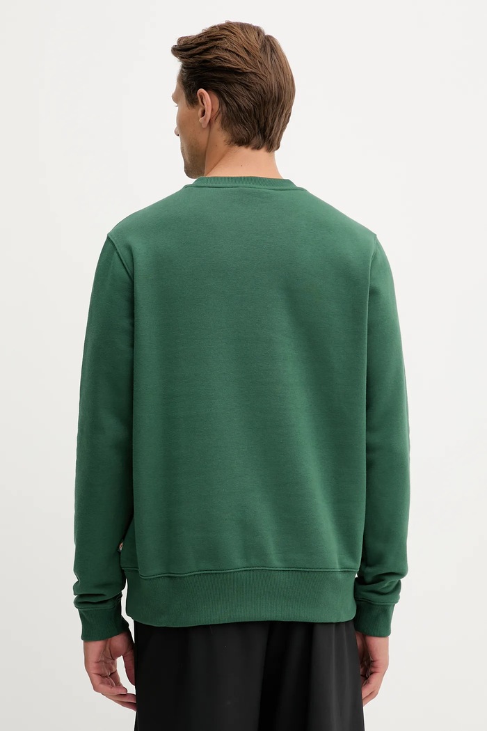 Odzież Dickies bluza DK0A4XCE zielony