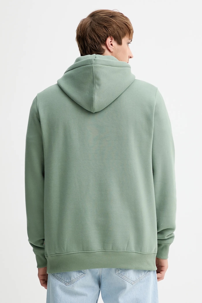 Odzież Dickies bluza DK0A4Y6P zielony