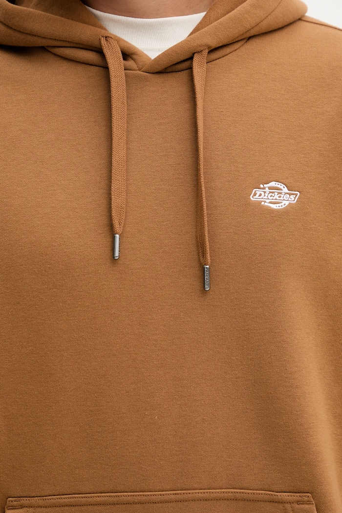 Dickies bluza DK0A4Y6P brązowy