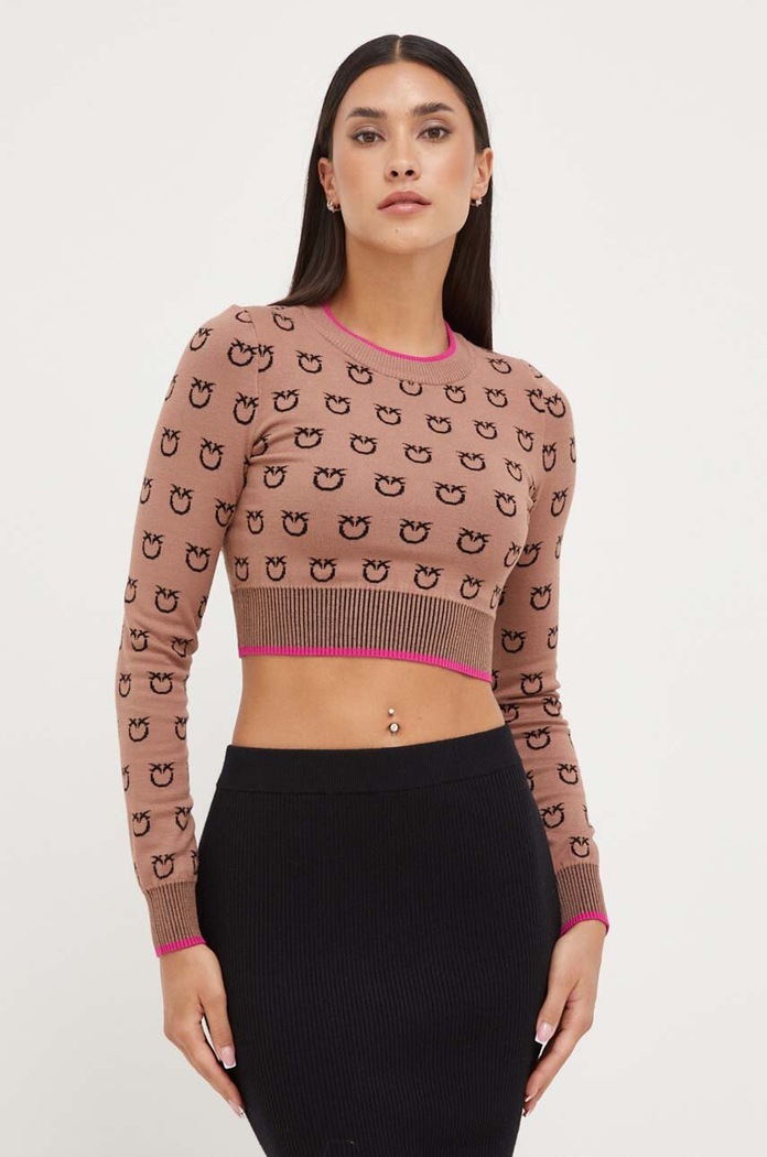 Pinko sweter pozostałe brązowy 101561.A112