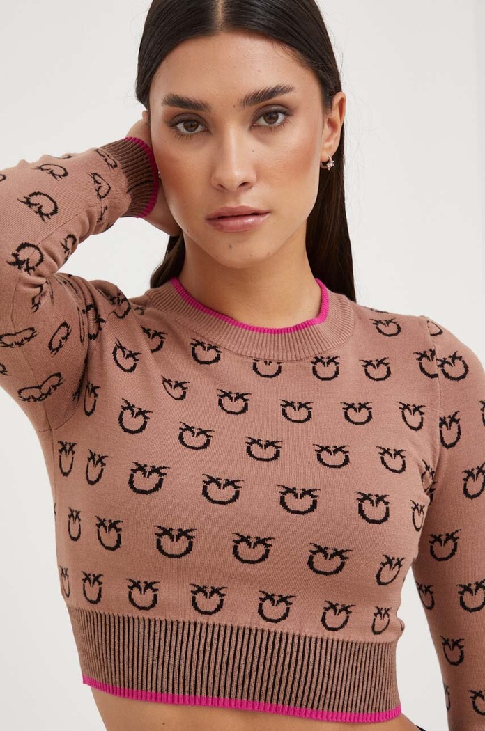Pinko sweter brązowy 101561.A112