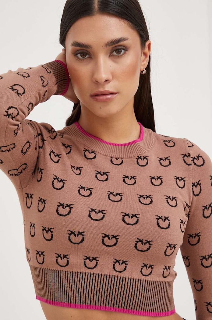 Pinko sweter brązowy 101561.A112