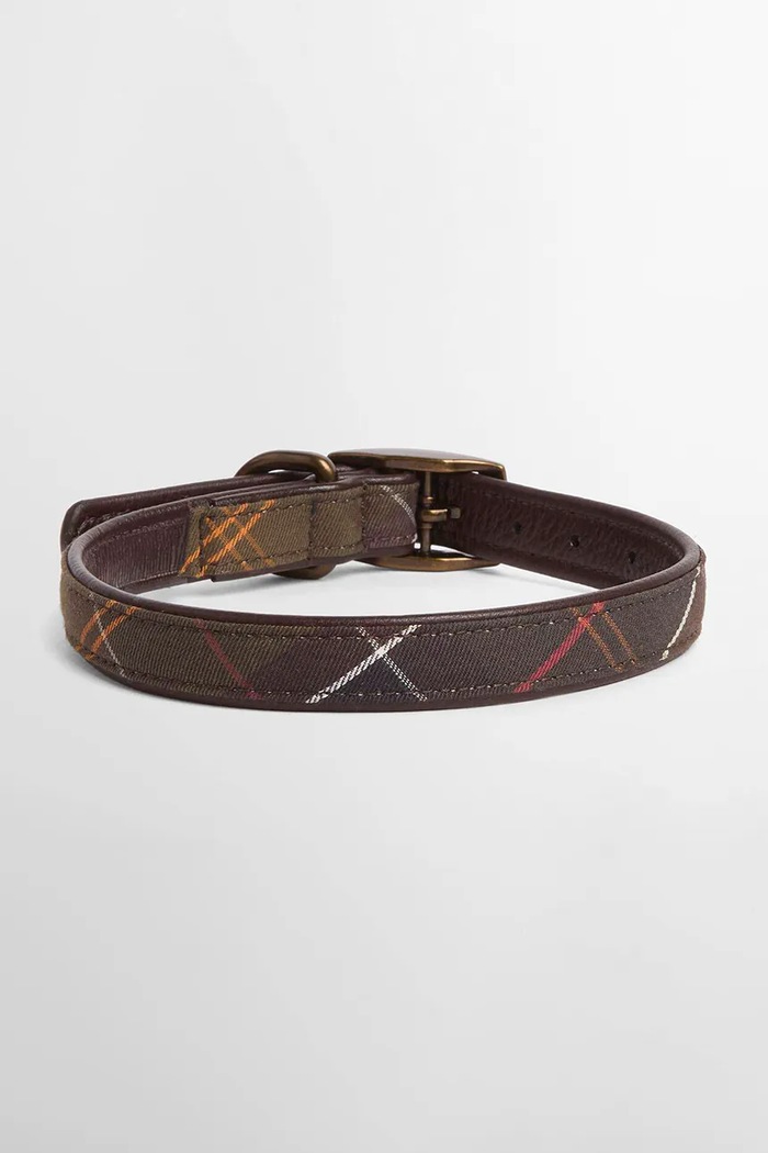 Barbour Obroża dla psa DAC0008 zielony AA00