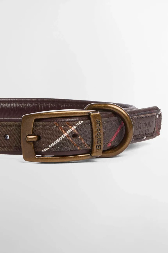 Lifestyle Barbour Obroża dla psa DAC0008 zielony