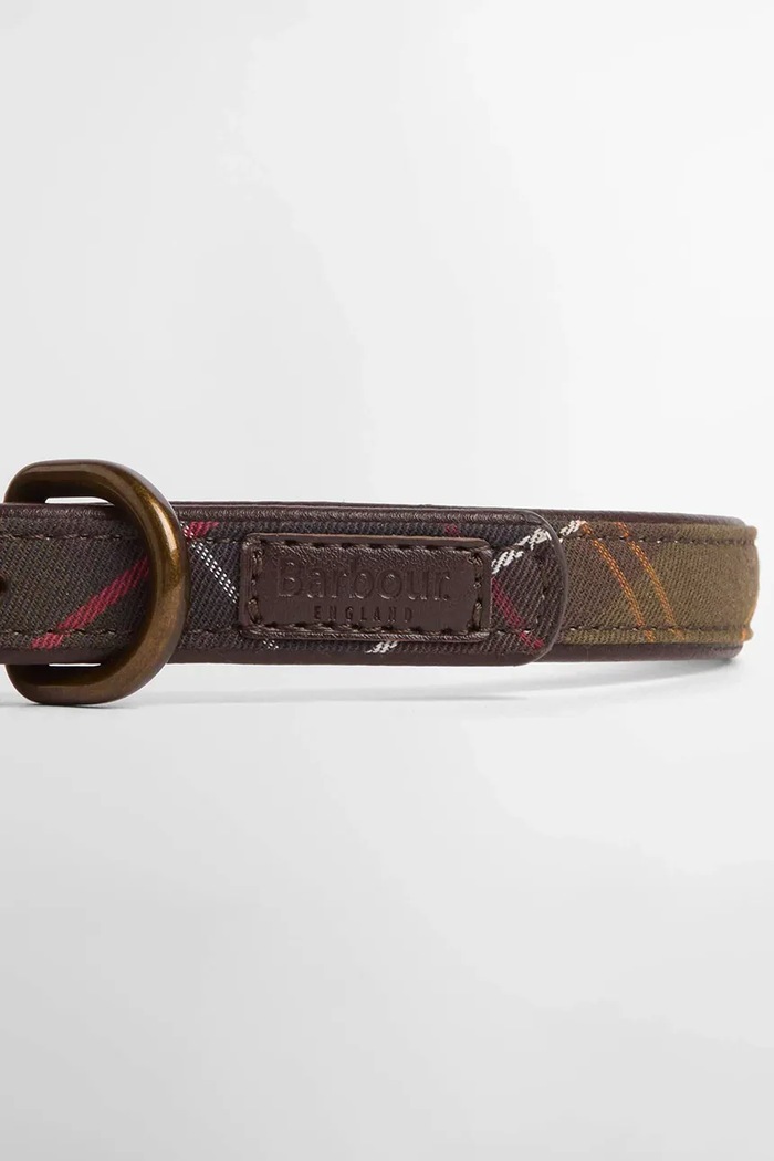 Obroża dla psa Barbour DAC0008 zielony