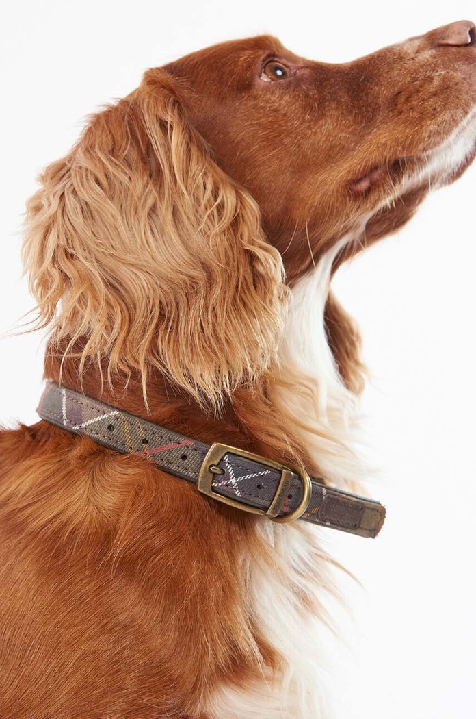 Нашийник для улюбленця Barbour барвистий DAC0008