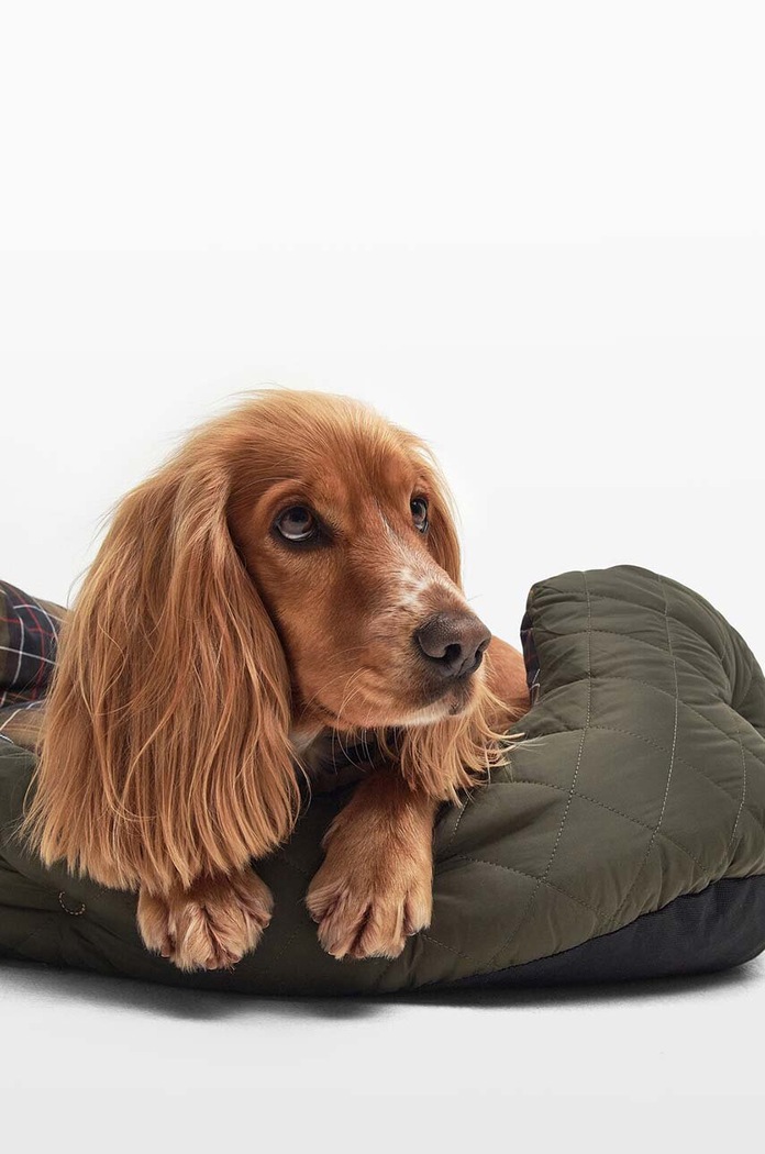 Lifestyle Barbour Pat pentru animale de companie DAC0019 verde