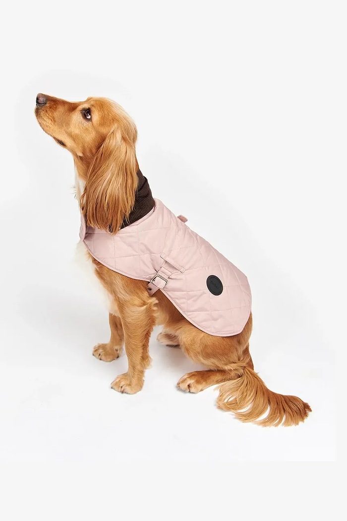 Плащ для собаки Barbour рожевий DCO0004