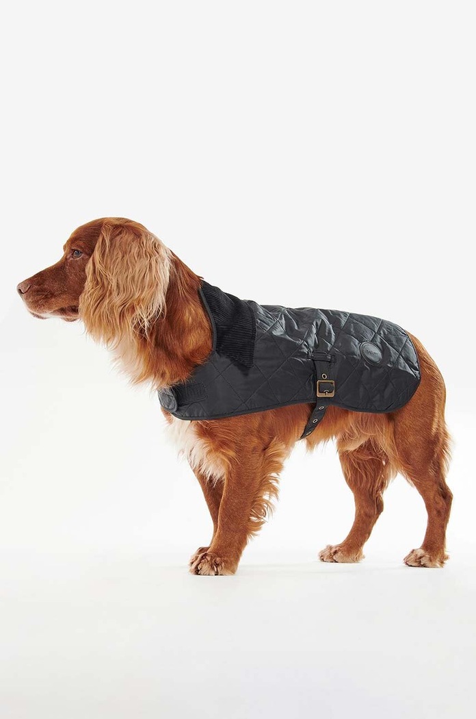 Плащ для собаки Barbour DCO0004 чорний AA00