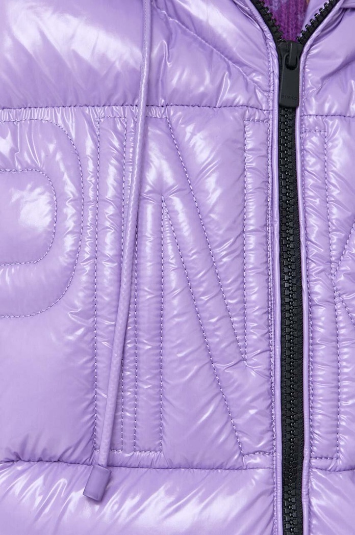Pinko vesta 101594.A11L violet