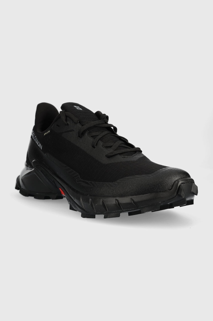Черевики Salomon Alphacross 5 GTX L47307500 чорний AW25