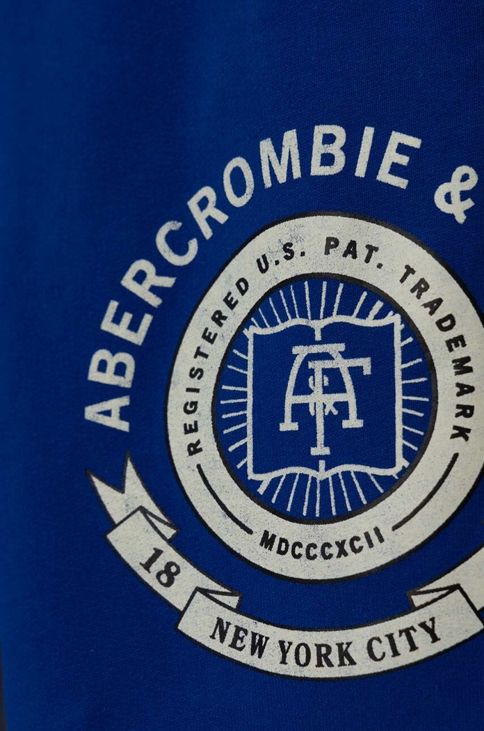 Αγορίστικα Παιδικό φούτερ Abercrombie & Fitch KI234.3015 μπλε