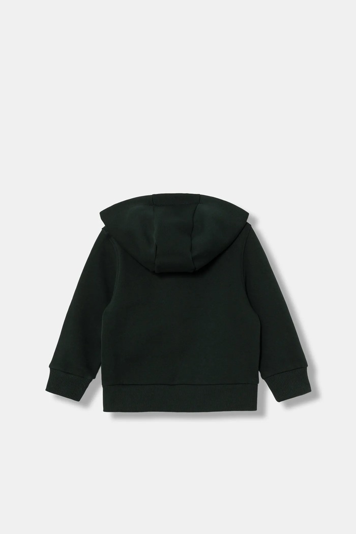 Παιδική βαμβακερή μπλούζα Lacoste SJ9723 πράσινο AW25