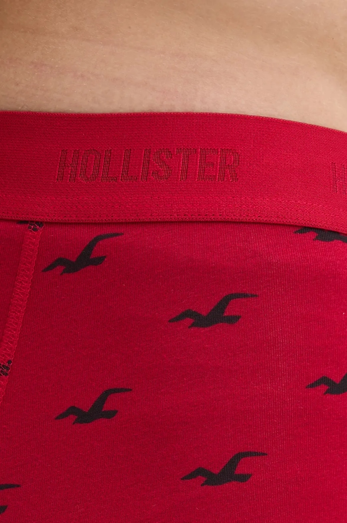 Μποξεράκια Hollister Co. 7-pack KI314.4023.308
