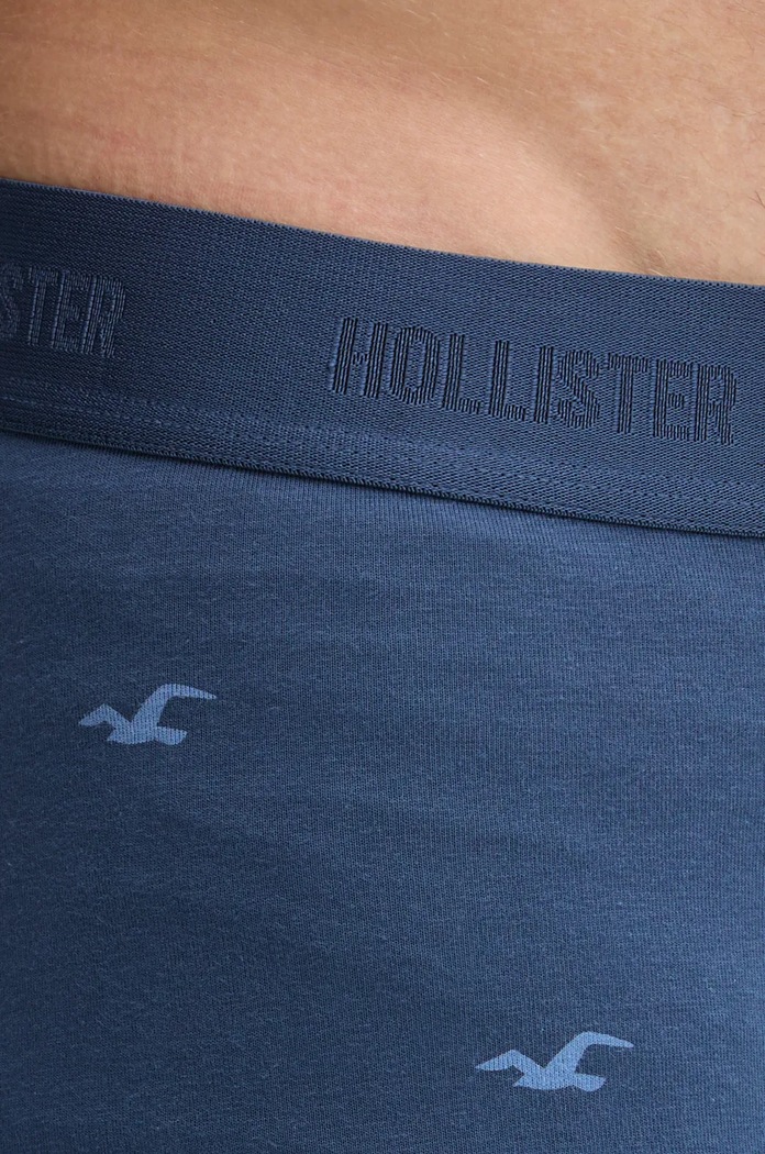 Μποξεράκια Hollister Co. 7-pack KI314.4023.308