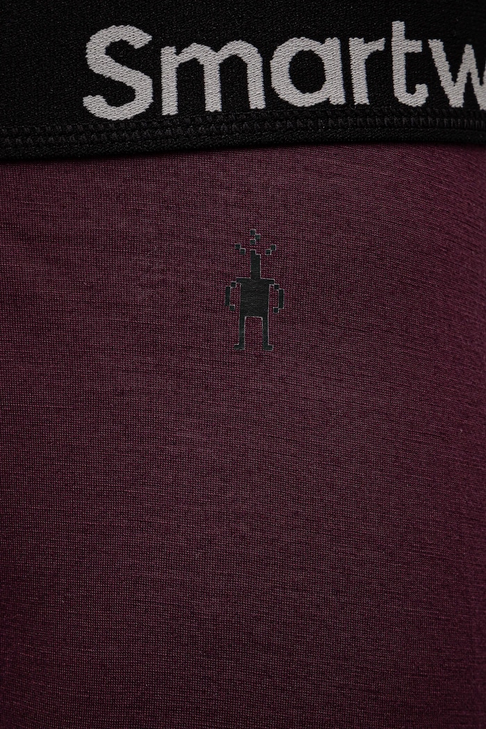 Oblečení Funkční prádlo Smartwool SW002462 burgundské