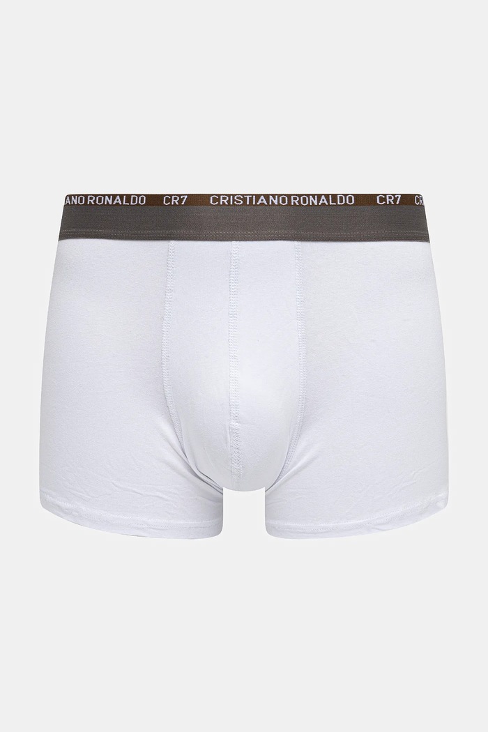 CR7 Cristiano Ronaldo bokserki 3-pack 8100.49.705 multicolor AW24