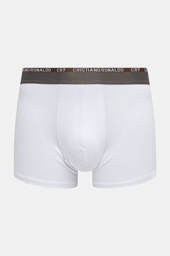 CR7 Cristiano Ronaldo bokserki 3-pack 8100.49.705 multicolor AW24