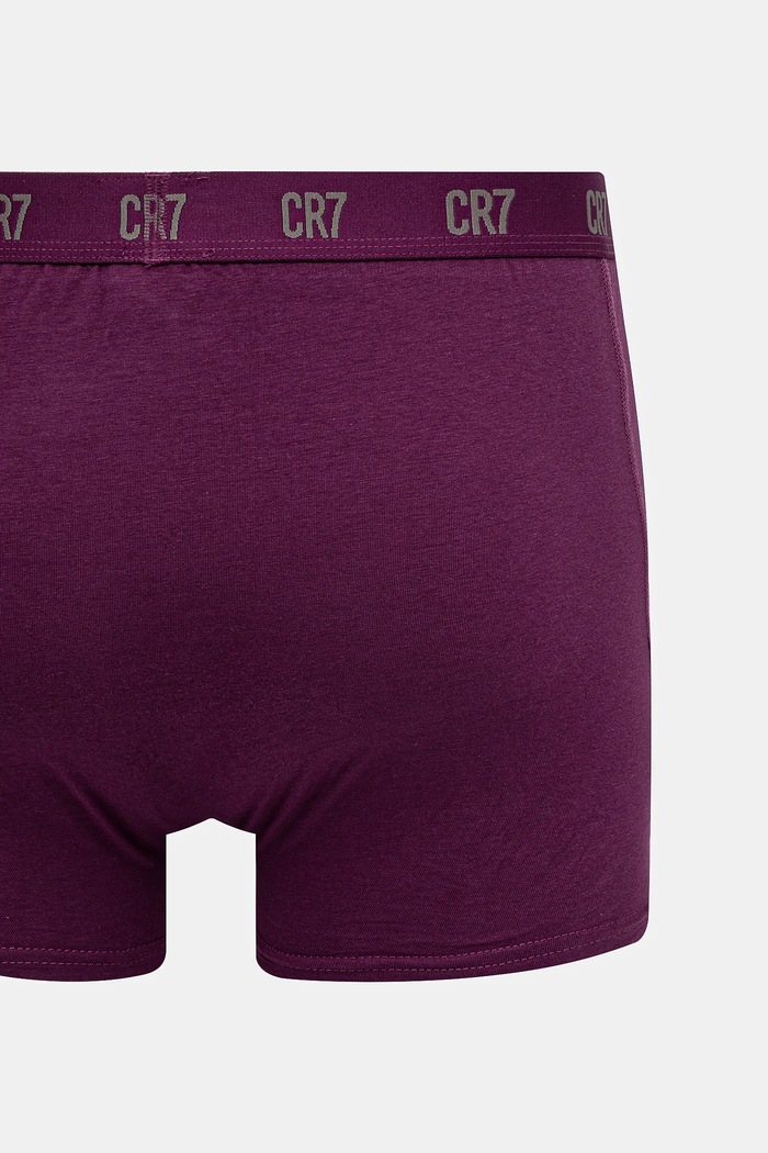 CR7 Cristiano Ronaldo bokserki 3-pack 8100.49.708 multicolor