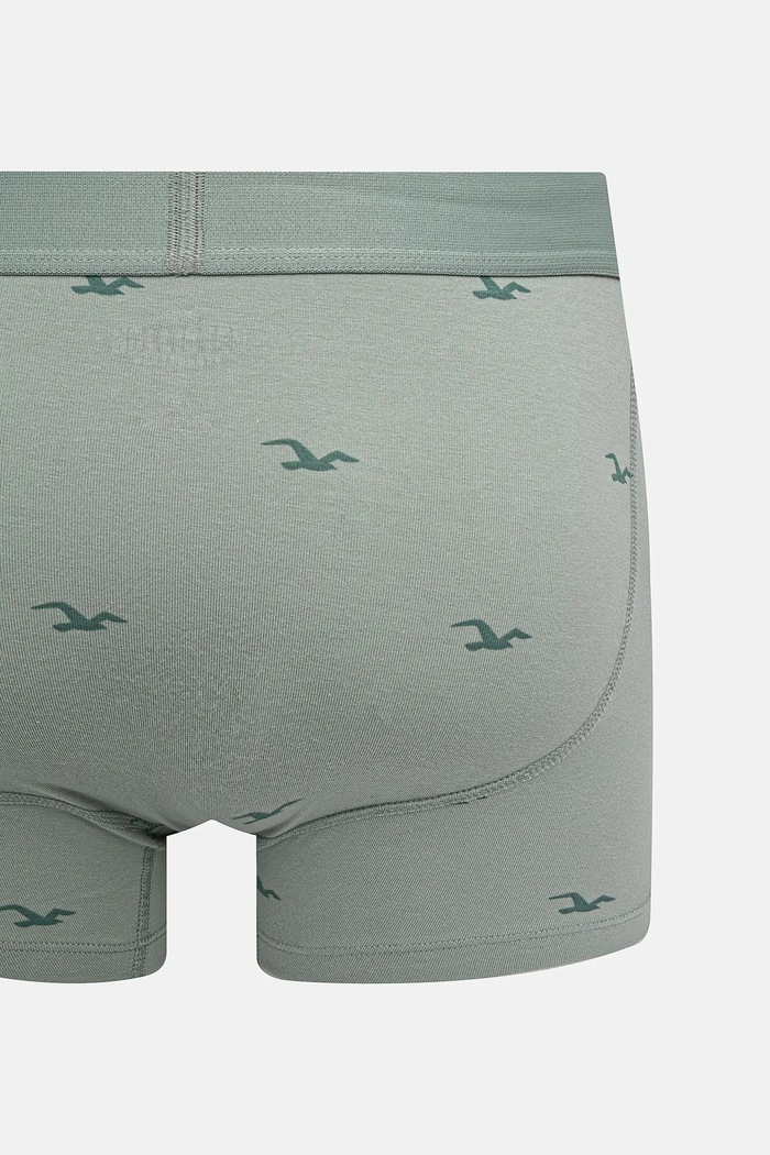 Hollister Co. boxeralsó 5 db KI314.4010.208