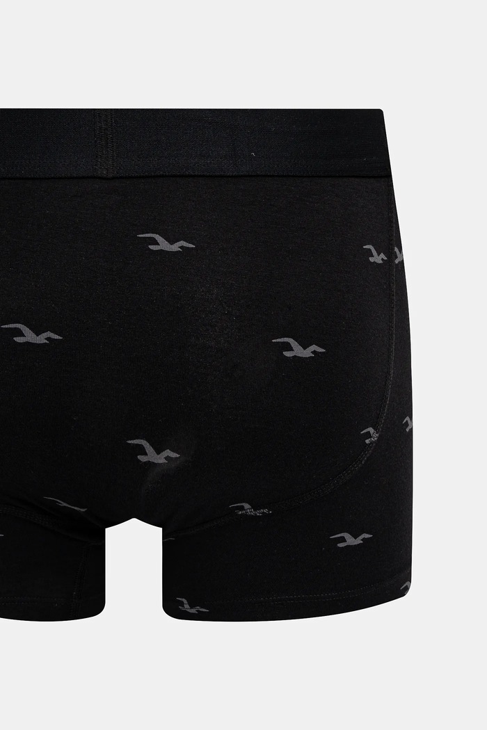 Hollister Co. boxeralsó 5 db KI314.4010.208