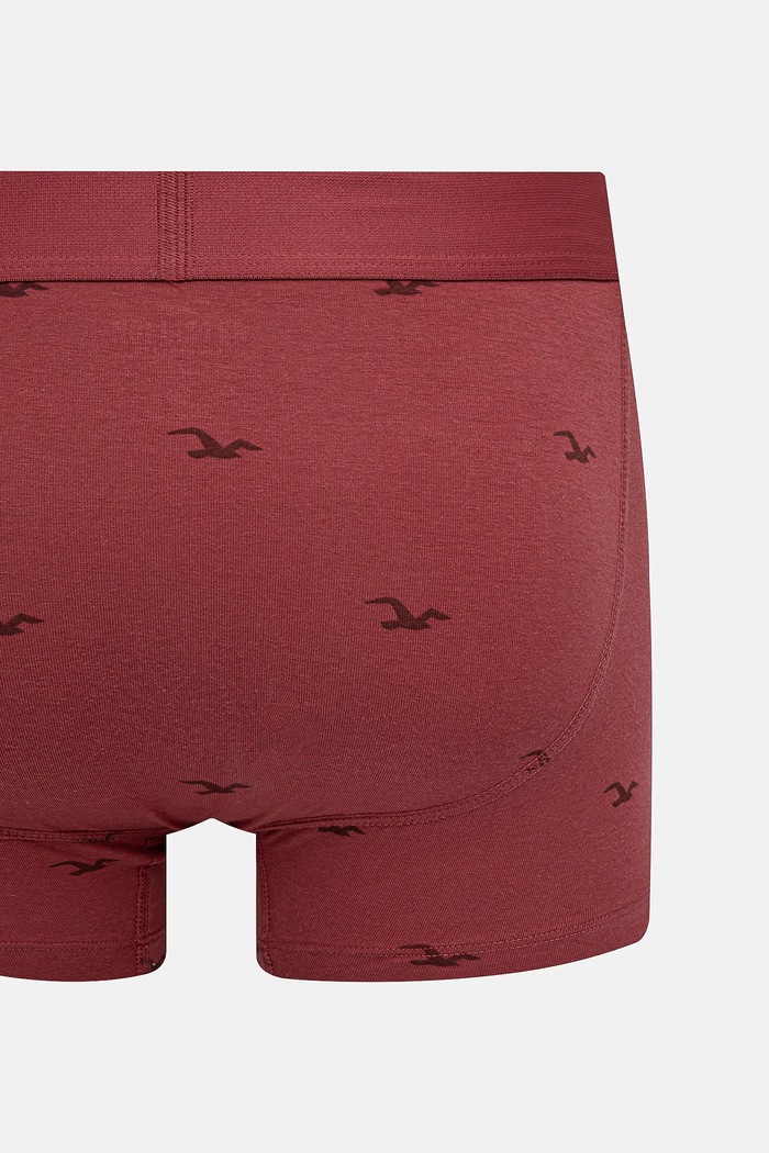 Hollister Co. boxeralsó 5 db KI314.4010.208
