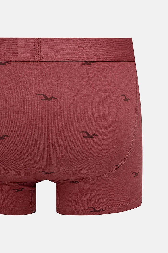 Hollister Co. boxeralsó 5 db KI314.4010.208