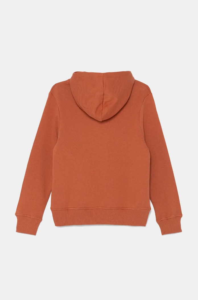 Pepe Jeans bluza dziecięca NEW LAMONTY HOODIE PB581614 pomarańczowy AW24