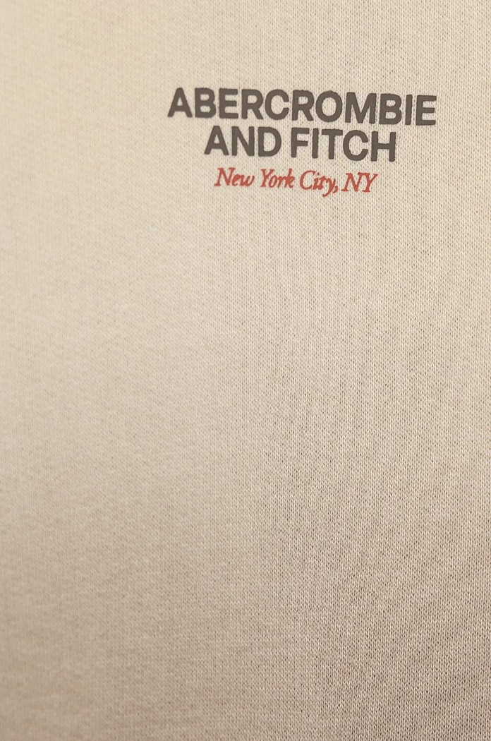 Chłopiec Abercrombie & Fitch bluza dziecięca KI222.4127 beżowy