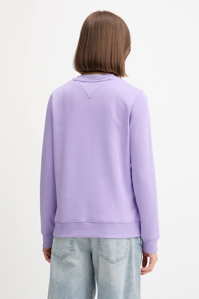 Îmbrăcăminte Tommy Jeans Hanorac pentru femei, cu bumbac DW0DW19959 violet