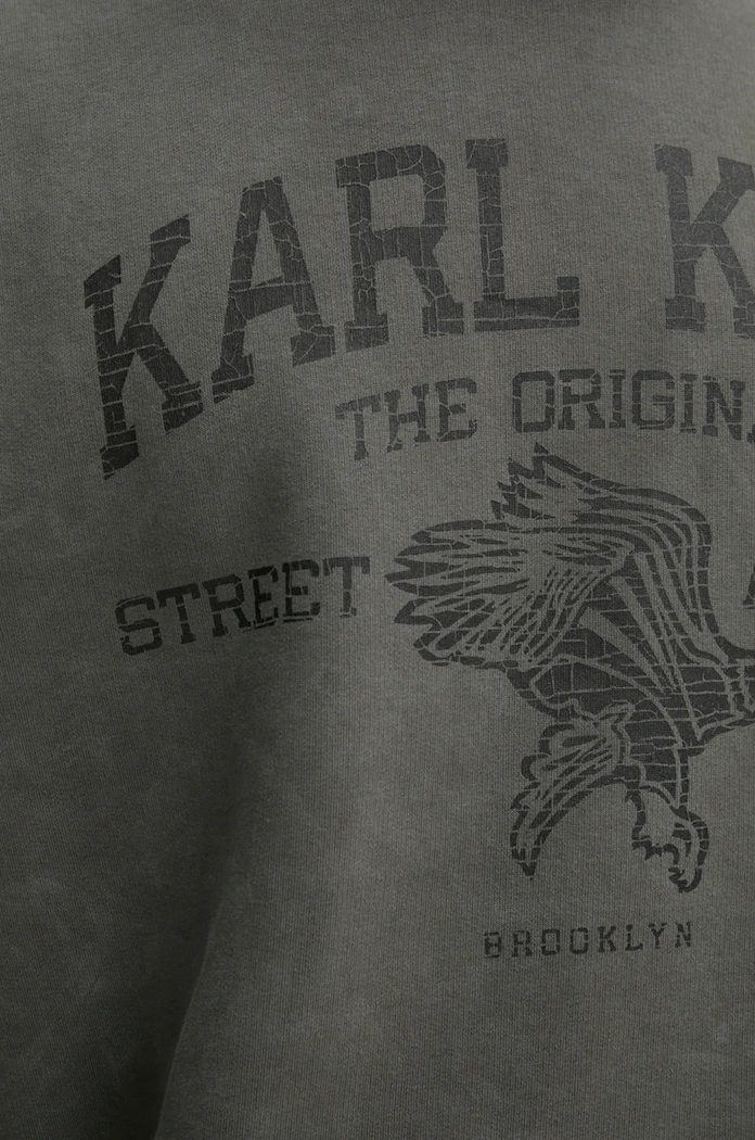 Karl Kani bluza 60290006 gri