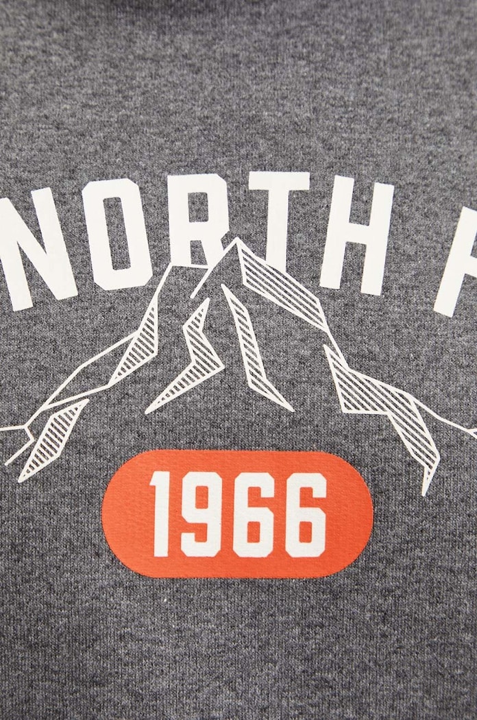 Суичър The North Face Hoodie Varsity Graphic NF0A89DJDYY1 сив
