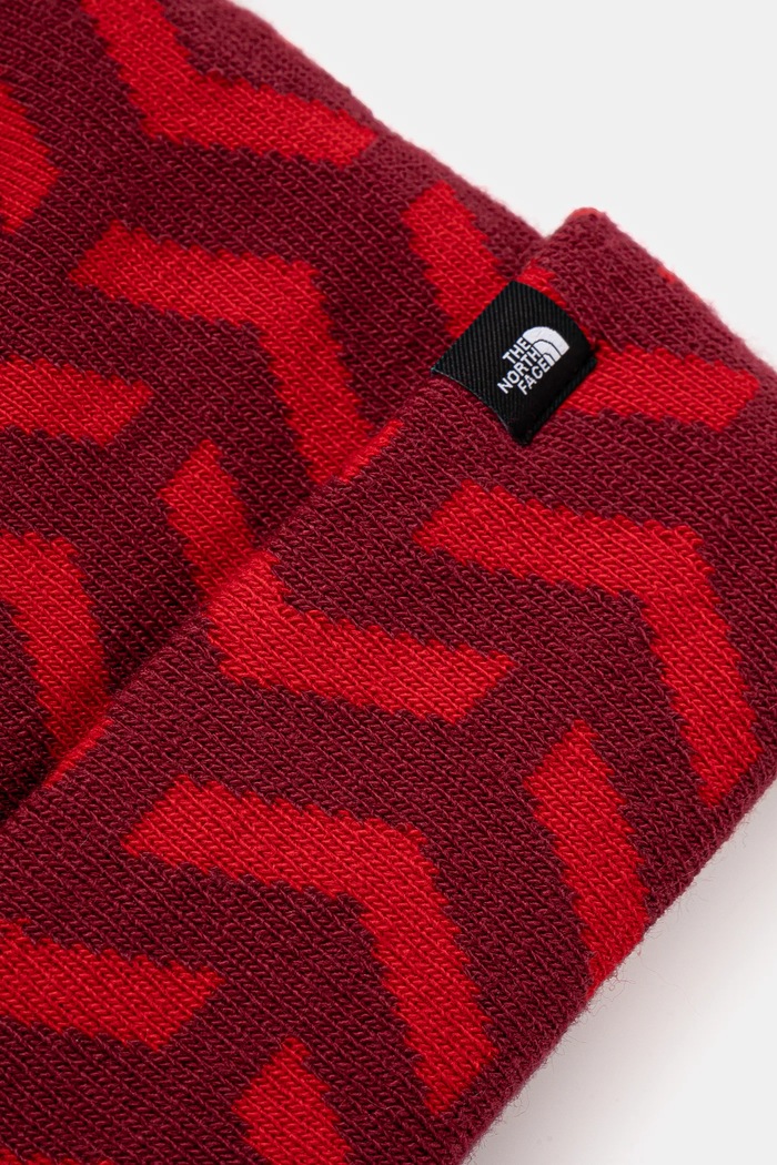 Chlapec Detská čiapka The North Face SKI TUKE NF0A7WJ87OB1 burgundské
