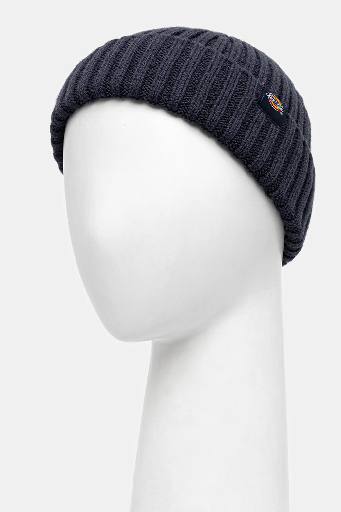Dickies Čiapka Dickies LOCKWOOD DK0A4Z2O tmavomodrá AW25