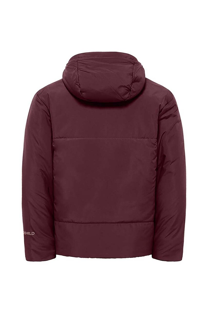 Chłopiec Jack Wolfskin kurtka zimowa dziecięca A61847.164.176 fioletowy