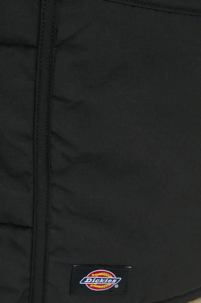 Bunda Dickies GARDINER DK0A4Z35