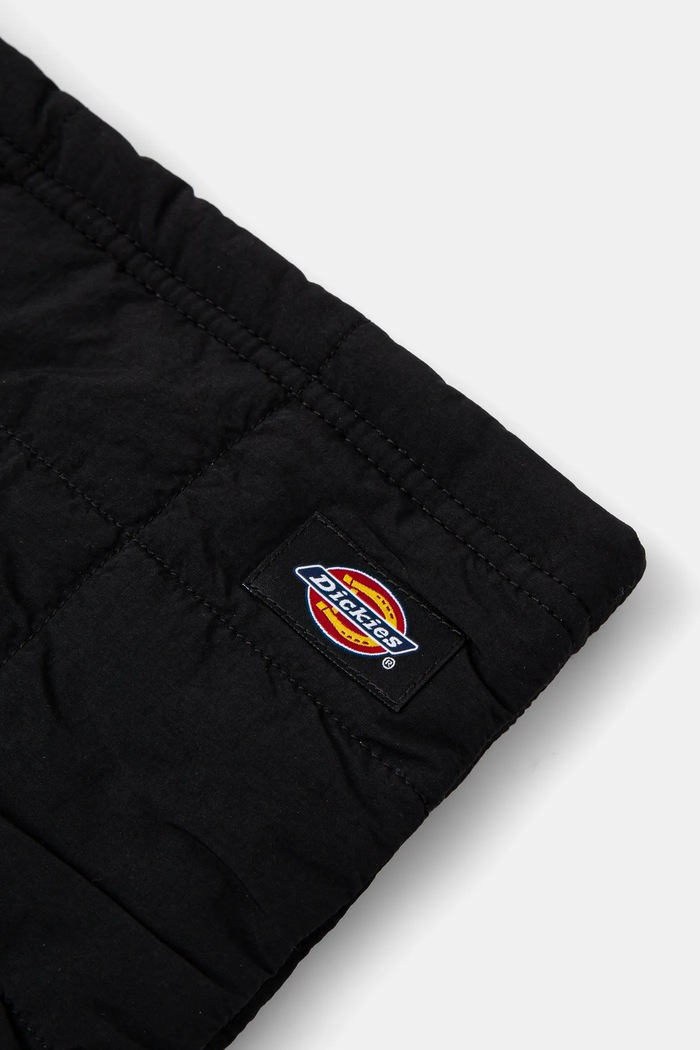 Dodaci Cjevasti šal Dickies GLENDIVE DK0A4Z3B crna