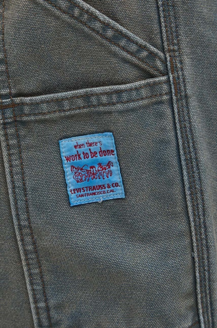 Bavlnené nohavice Levi's modrá 55849