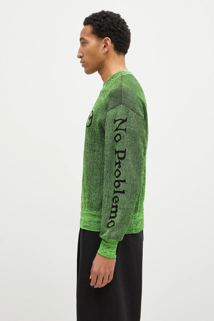 No Problemo jumper Glitch Alien-O NP20019.02 green AW24