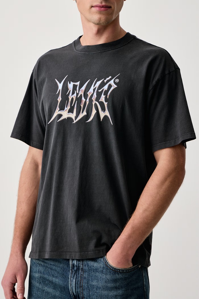 T-shirt męski bawełniany VINTAGE FIT GRAPHIC Levi's 87373 szary
