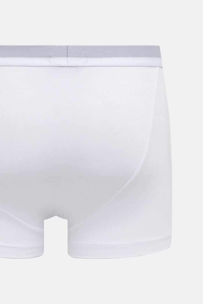 Oblečenie Boxerky Emporio Armani Underwear 2-pak EM000253.AF14134 biela