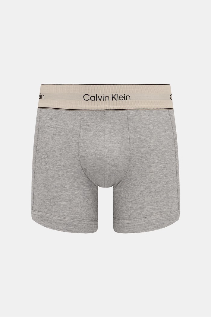 Ρούχα Calvin Klein Underwear μποξεράκι ανδρικό βαμβακερό με ελαστάν 3-pack LV00NB4446 μπλε